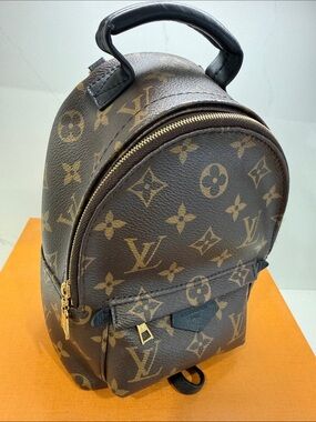 Authentic Louis Vuitton Palm Springs  Monogram Canvas Mini bag, backpack in LV